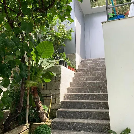 Sea La Vie Anesti Borsh